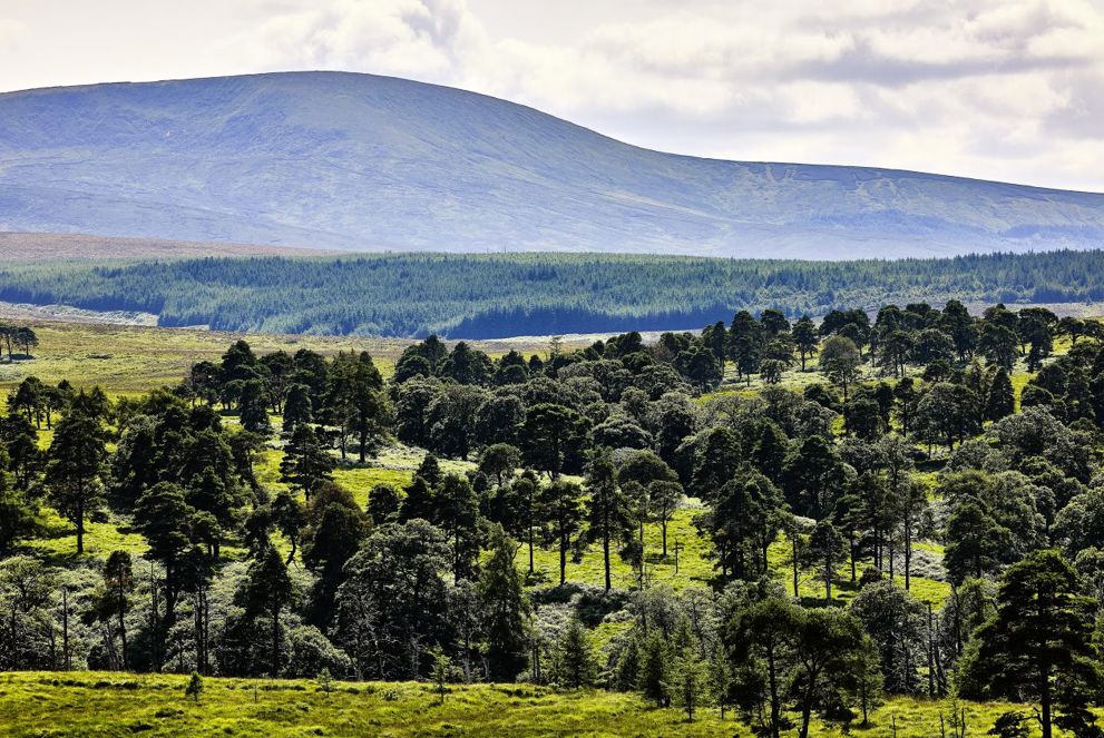 Natural Beauty and Modern Community