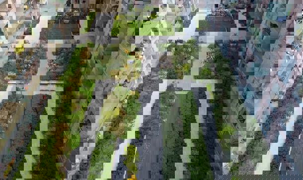 Marianella Landscaping Commendation