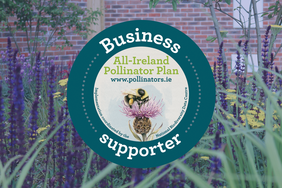 The Pollinator Plan