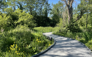 Threetrouts Walkway