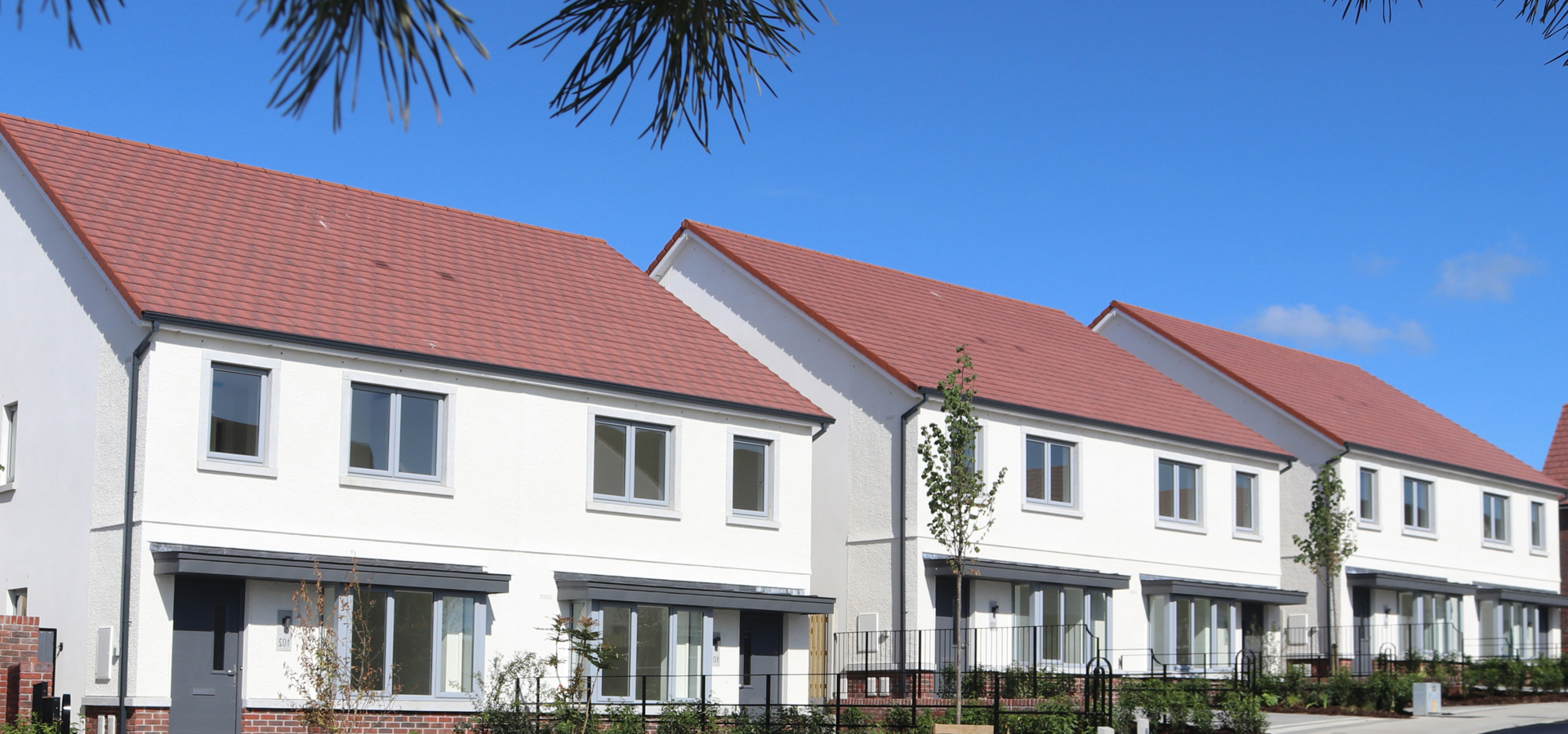 Row of newly completed rendered homes on a Cairn development