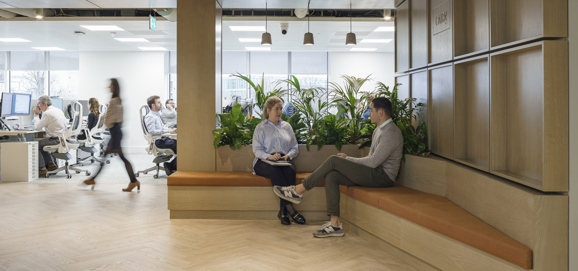 Staff at work in a bright open-plan office with a timber ceiling and bench seating