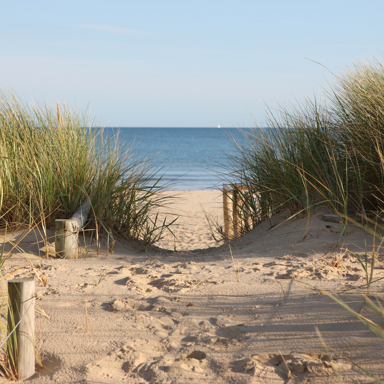 Lanestown-View-Donabate-Beach